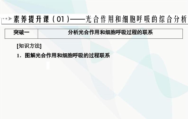 2024届人教版高考生物一轮复习素养提升课01细胞呼吸与光合综合分析课件（单选版）02