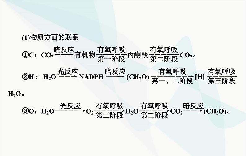 2024届人教版高考生物一轮复习素养提升课01细胞呼吸与光合综合分析课件（单选版）03