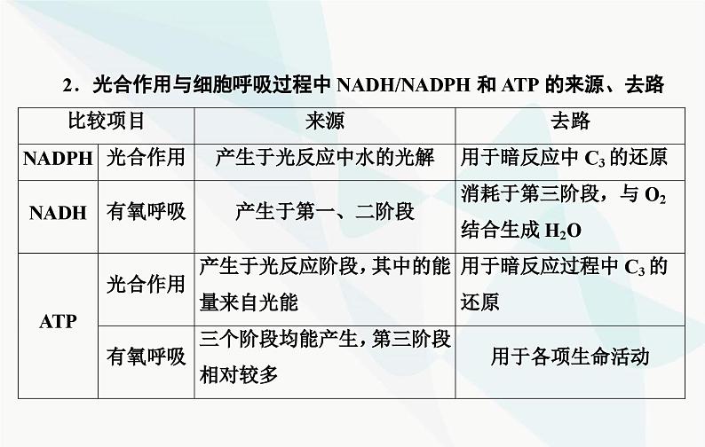 2024届人教版高考生物一轮复习素养提升课01细胞呼吸与光合综合分析课件（单选版）05