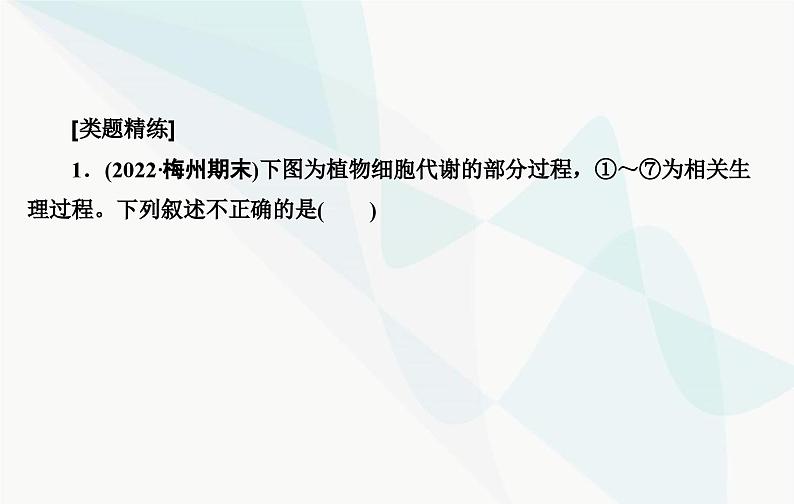 2024届人教版高考生物一轮复习素养提升课01细胞呼吸与光合综合分析课件（单选版）06