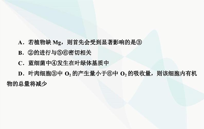 2024届人教版高考生物一轮复习素养提升课01细胞呼吸与光合综合分析课件（单选版）07