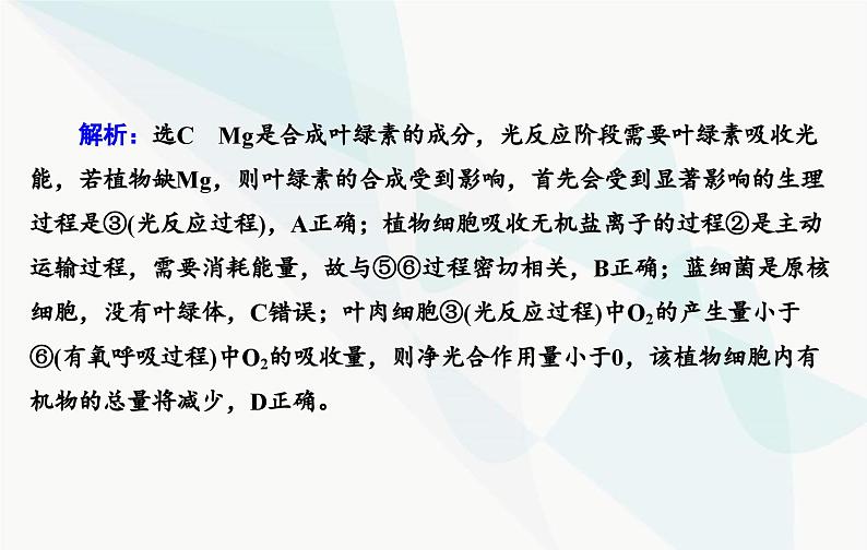 2024届人教版高考生物一轮复习素养提升课01细胞呼吸与光合综合分析课件（单选版）08