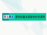 2024届人教版高考生物一轮复习素养提升课02突破分离定律特例课件（单选版）