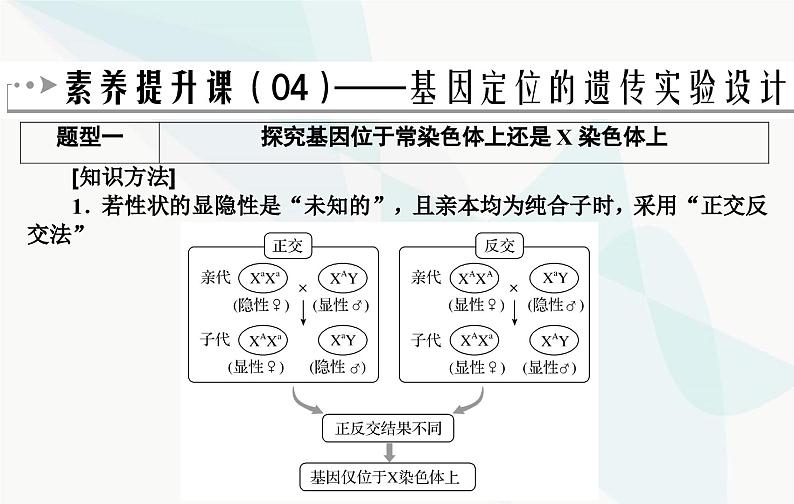 2024届人教版高考生物一轮复习素养提升课04基因定位遗传设计实验课件（单选版）第2页