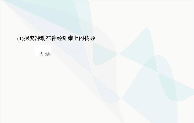 2024届人教版高考生物一轮复习素养提升课07反射狐中兴奋传导特点课件（单选版）第4页