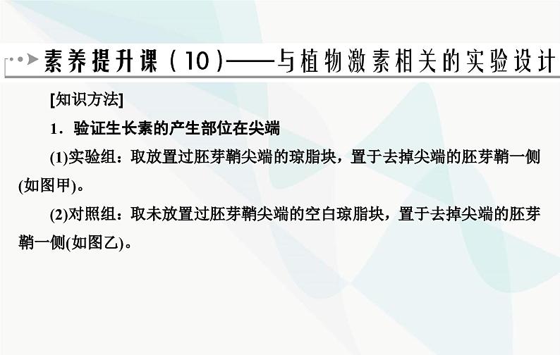 2024届人教版高考生物一轮复习素养提升课10与植物激素相关实验设计课件（单选版）第2页