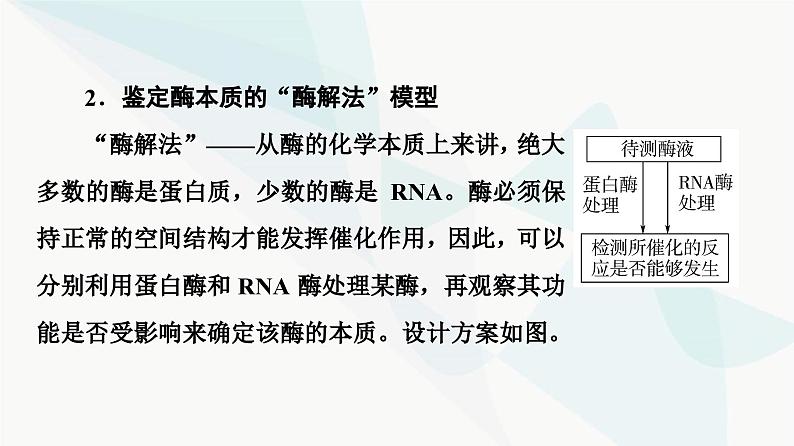 2024届人教版高考生物一轮复习素养加强课1酶的相关实验设计方法课件04