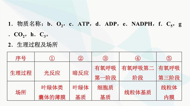 2024届人教版高考生物一轮复习素养加强课2光合作用和细胞呼吸的综合课件04