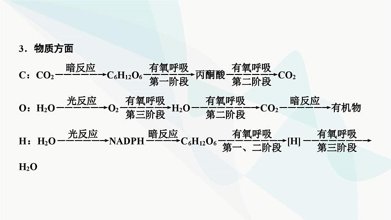 2024届人教版高考生物一轮复习素养加强课2光合作用和细胞呼吸的综合课件05