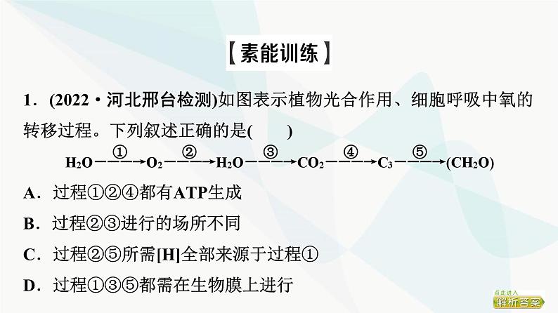 2024届人教版高考生物一轮复习素养加强课2光合作用和细胞呼吸的综合课件07