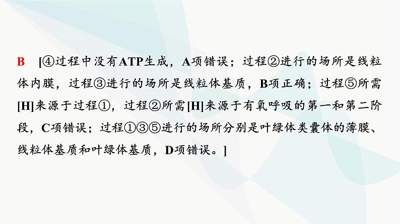 2024届人教版高考生物一轮复习素养加强课2光合作用和细胞呼吸的综合课件08