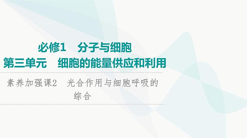 2024届人教版高考生物一轮复习素养加强课2光合作用与细胞呼吸的综合课件01