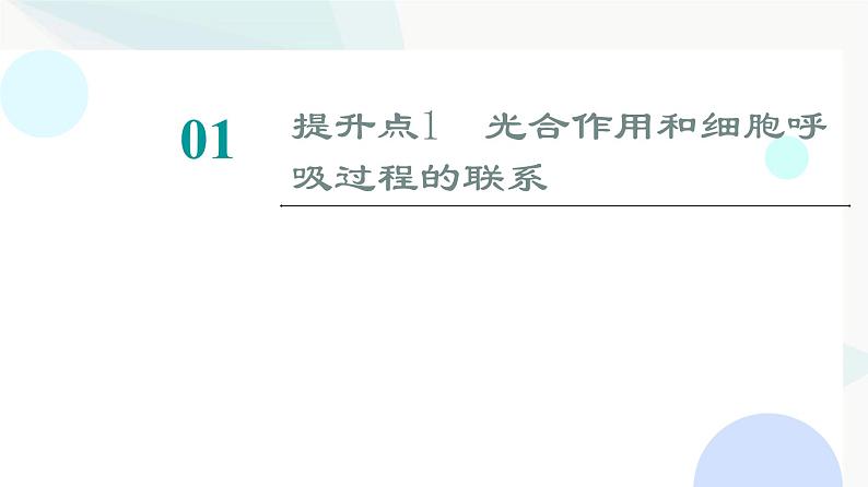 2024届人教版高考生物一轮复习素养加强课2光合作用与细胞呼吸的综合课件02