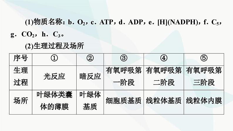 2024届人教版高考生物一轮复习素养加强课2光合作用与细胞呼吸的综合课件04