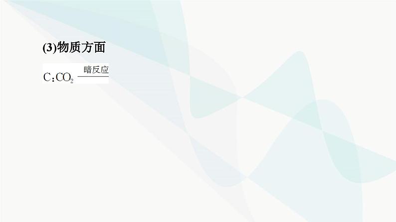 2024届人教版高考生物一轮复习素养加强课2光合作用与细胞呼吸的综合课件05