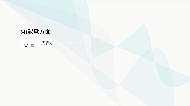 2024届人教版高考生物一轮复习素养加强课2光合作用与细胞呼吸的综合课件06