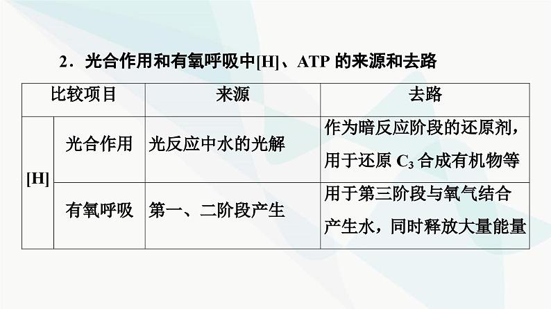 2024届人教版高考生物一轮复习素养加强课2光合作用与细胞呼吸的综合课件07