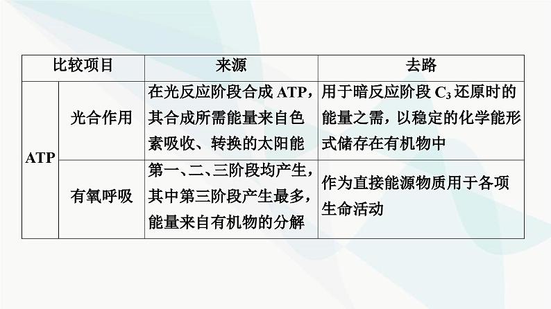 2024届人教版高考生物一轮复习素养加强课2光合作用与细胞呼吸的综合课件08