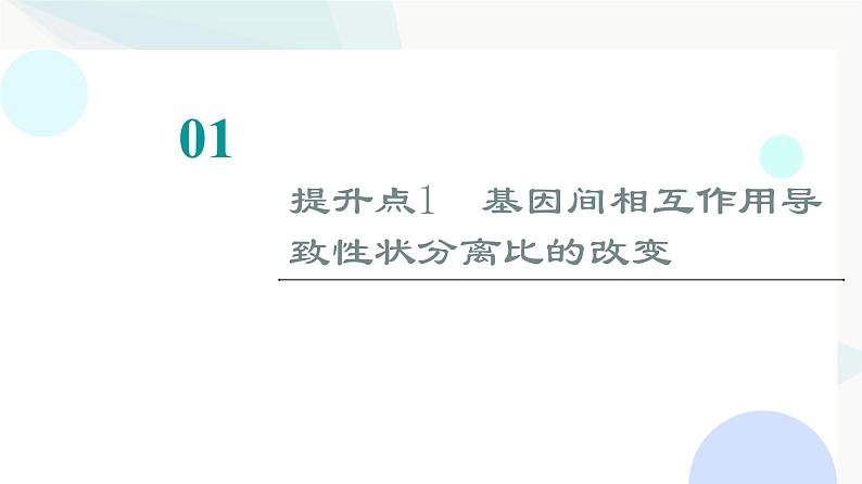 2024届人教版高考生物一轮复习素养加强课4自由组合定律在特殊情况下的重点题型课件02