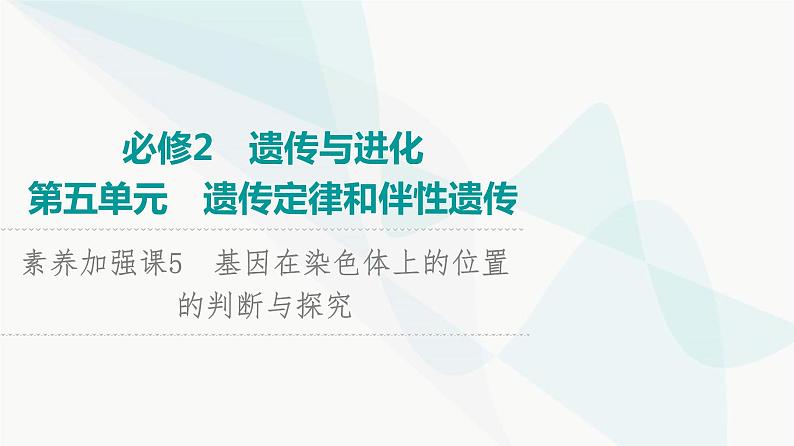 2024届人教版高考生物一轮复习素养加强课5基因在染色体上的位置的判断与探究课件第1页