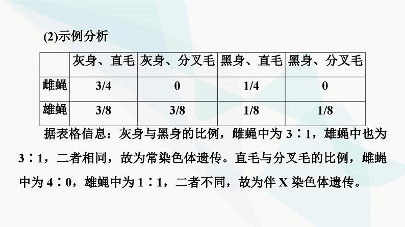 2024届人教版高考生物一轮复习素养加强课5基因在染色体上的位置的判断与探究课件第4页