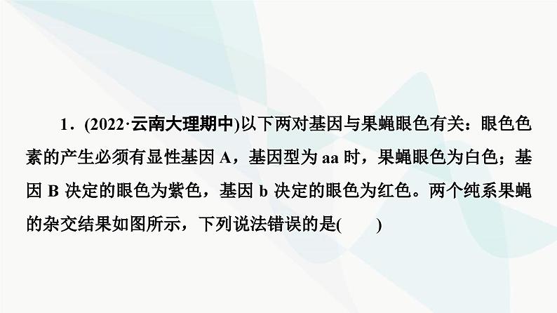 2024届人教版高考生物一轮复习素养加强课5基因在染色体上的位置的判断与探究课件第6页