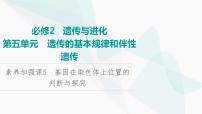 2024届人教版高考生物一轮复习素养加强课5基因在染色体上位置的判断与探究课件