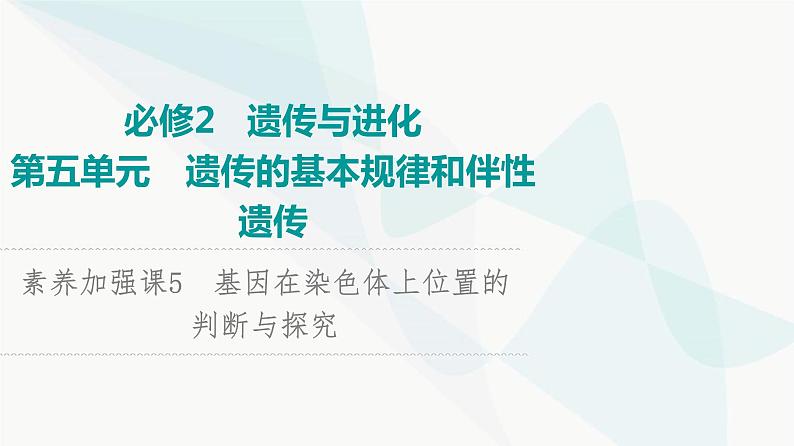 2024届人教版高考生物一轮复习素养加强课5基因在染色体上位置的判断与探究课件第1页