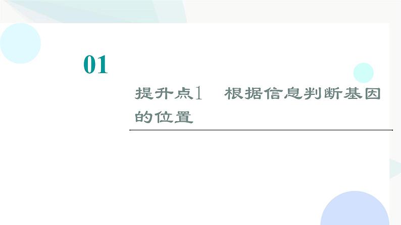 2024届人教版高考生物一轮复习素养加强课5基因在染色体上位置的判断与探究课件第2页