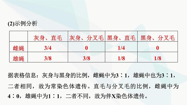 2024届人教版高考生物一轮复习素养加强课5基因在染色体上位置的判断与探究课件第4页