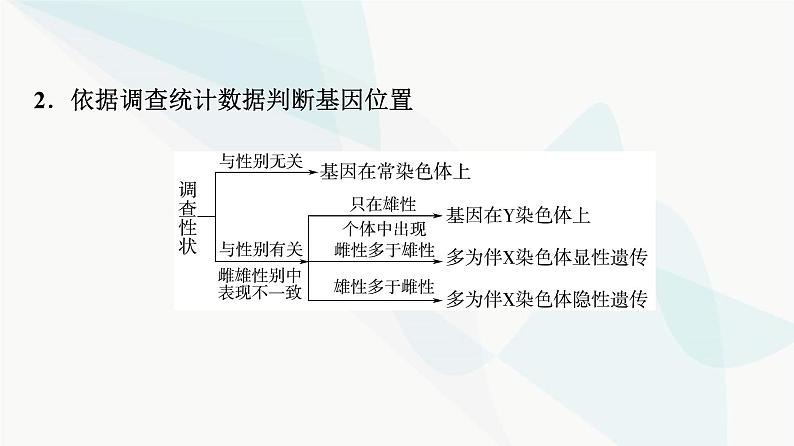 2024届人教版高考生物一轮复习素养加强课5基因在染色体上位置的判断与探究课件第5页