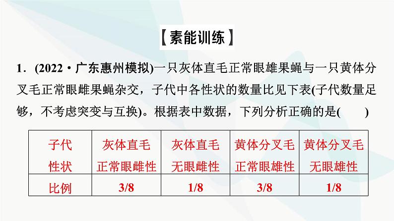 2024届人教版高考生物一轮复习素养加强课5基因在染色体上位置的判断与探究课件第6页