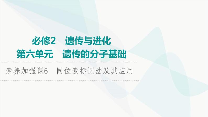 2024届人教版高考生物一轮复习素养加强课6同位素标记法及其应用课件1第1页