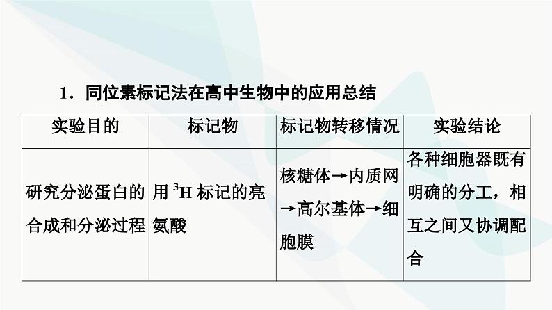 2024届人教版高考生物一轮复习素养加强课6同位素标记法及其应用课件1第3页