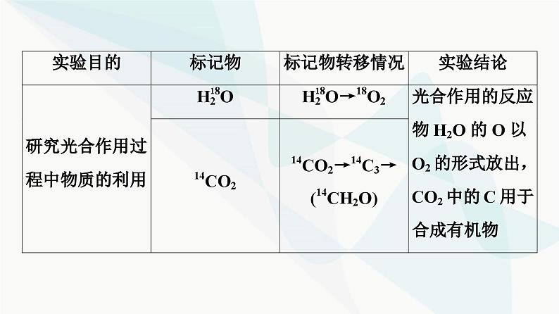 2024届人教版高考生物一轮复习素养加强课6同位素标记法及其应用课件1第4页