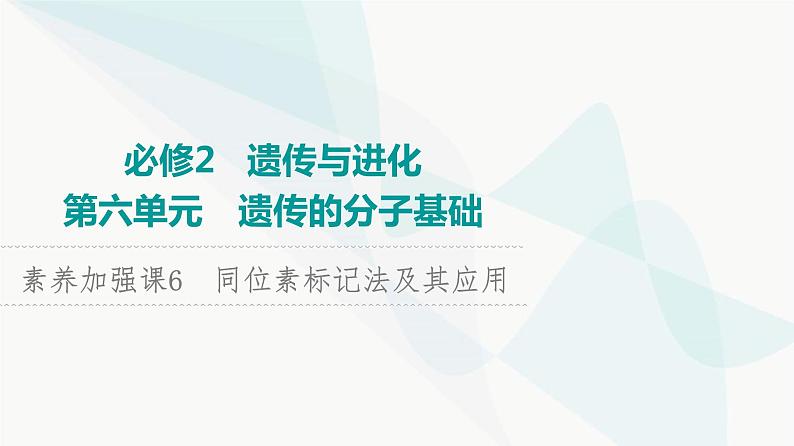 2024届人教版高考生物一轮复习素养加强课6同位素标记法及其应用课件2第1页