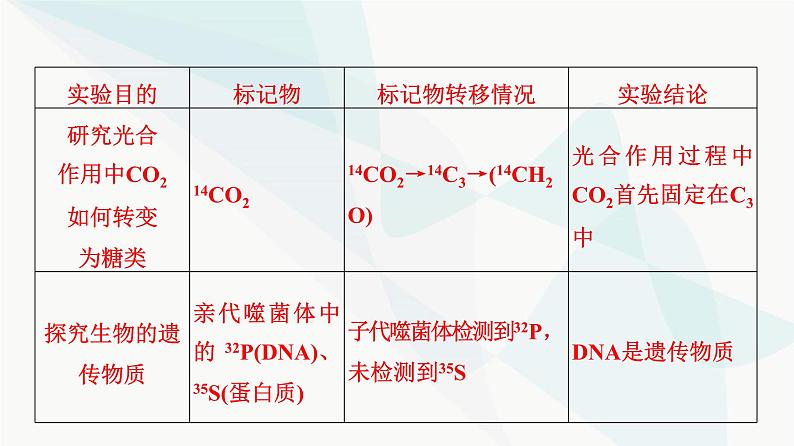 2024届人教版高考生物一轮复习素养加强课6同位素标记法及其应用课件2第4页