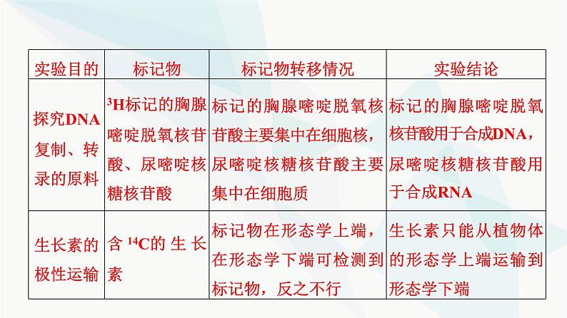 2024届人教版高考生物一轮复习素养加强课6同位素标记法及其应用课件2第5页