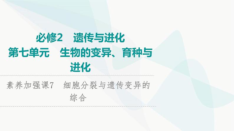 2024届人教版高考生物一轮复习素养加强课7细胞分裂与遗传变异的综合课件第1页