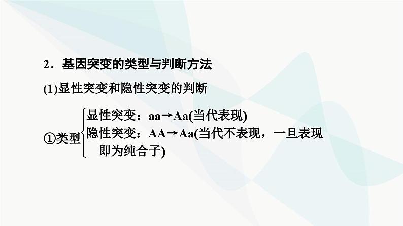 2024届人教版高考生物一轮复习素养加强课7细胞分裂与遗传变异的综合课件第4页