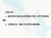 2024届人教版高考生物一轮复习素养加强课7细胞分裂与遗传变异的综合课件