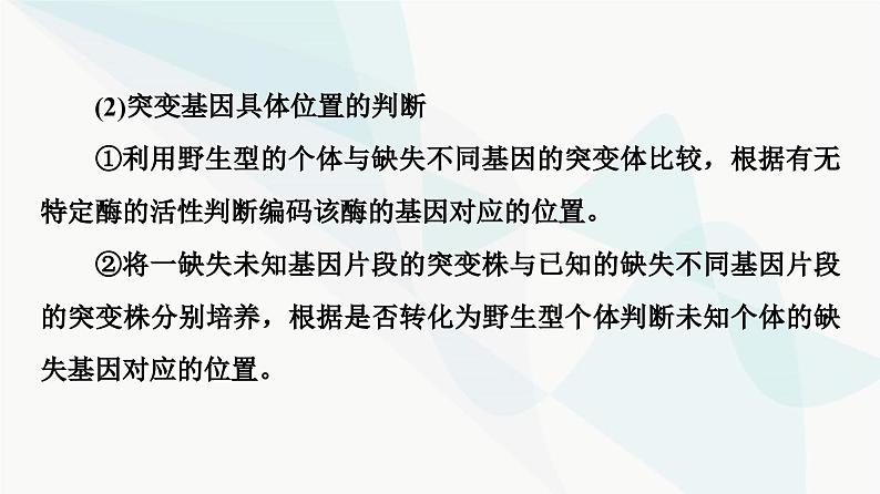 2024届人教版高考生物一轮复习素养加强课7细胞分裂与遗传变异的综合课件第6页