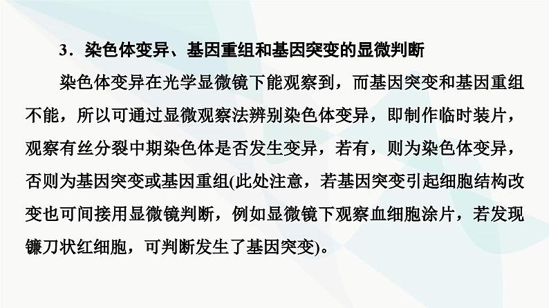 2024届人教版高考生物一轮复习素养加强课7细胞分裂与遗传变异的综合课件第7页