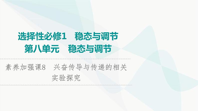 2024届人教版高考生物一轮复习素养加强课8兴奋传导与传递的相关实验探究课件第1页