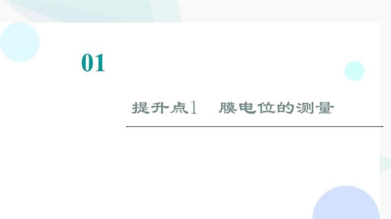 2024届人教版高考生物一轮复习素养加强课8兴奋传导与传递的相关实验探究课件第2页