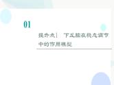 2024届人教版高考生物一轮复习素养加强课9动物生命活动调节模型的建构与分析课件