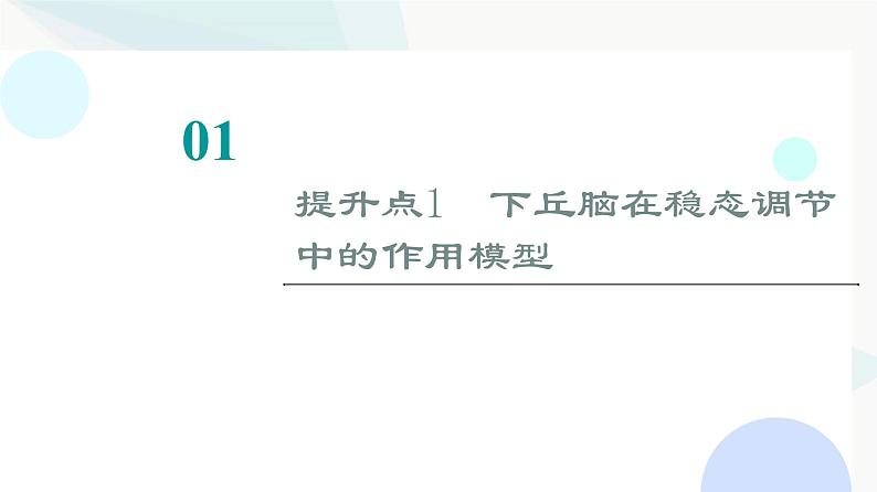 2024届人教版高考生物一轮复习素养加强课9动物生命活动调节模型的建构与分析课件第2页