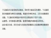 2024届人教版高考生物一轮复习素养加强课9动物生命活动调节模型的建构与分析课件