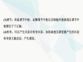 2024届人教版高考生物一轮复习素养加强课9动物生命活动调节模型的建构与分析课件