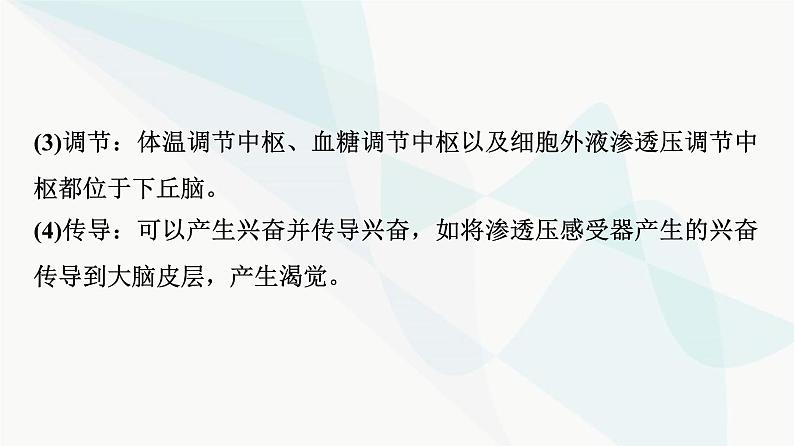 2024届人教版高考生物一轮复习素养加强课9动物生命活动调节模型的建构与分析课件第5页